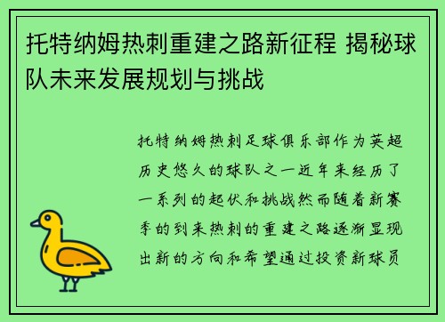 托特纳姆热刺重建之路新征程 揭秘球队未来发展规划与挑战