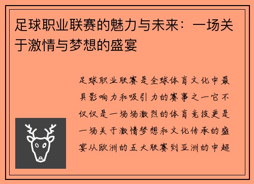 足球职业联赛的魅力与未来：一场关于激情与梦想的盛宴